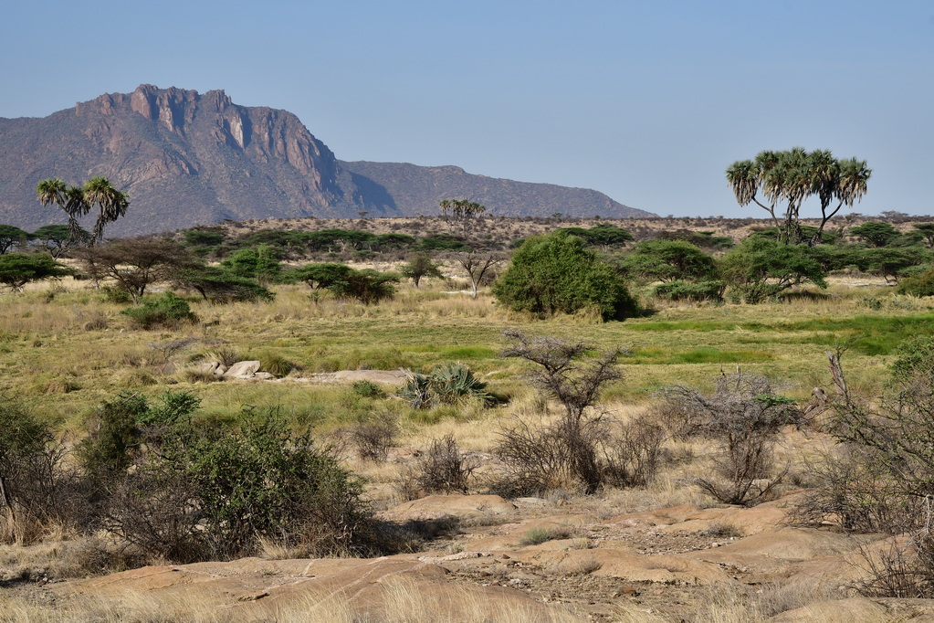 Samburu Nat. Resserve